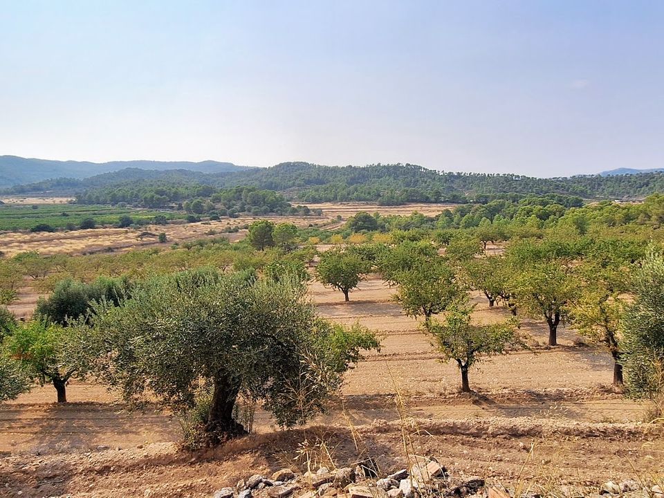 Finca i Benissanet, Tarragona - foto 3